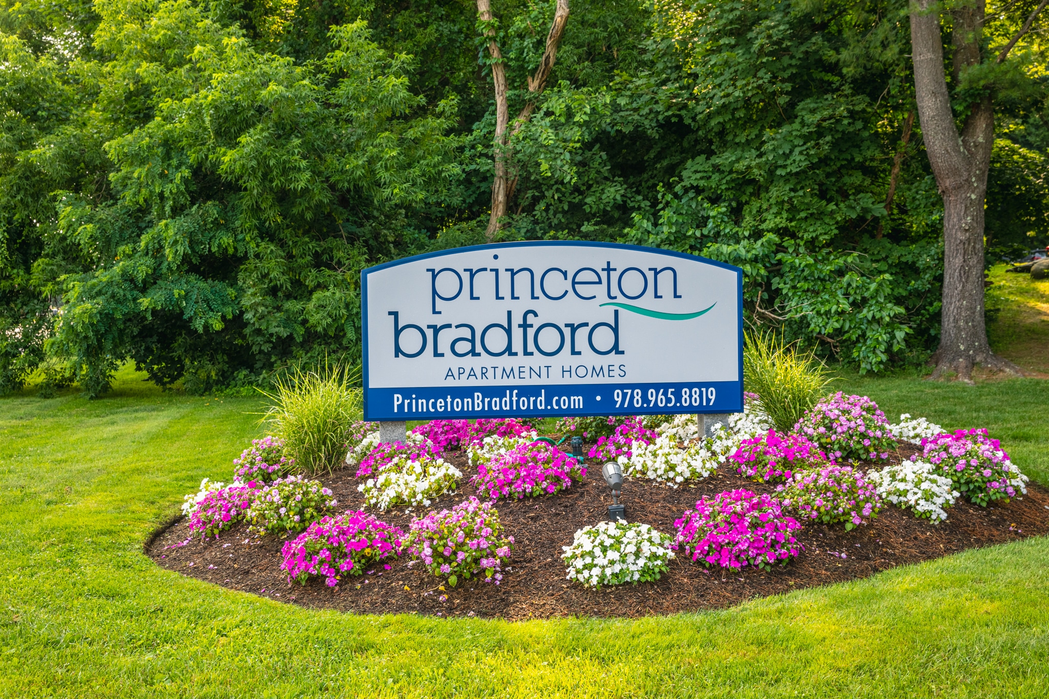 PrincetonBradford-102