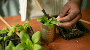Repurposed Planter | Repurpose | Princeton Cares
